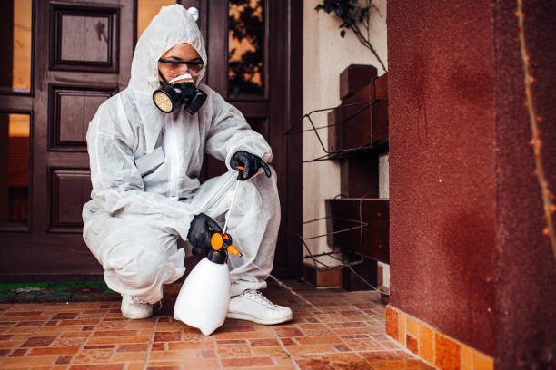 Reliable Wasp Removal contractor in Dauphin, PA by Show Me Pest Control